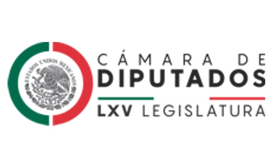 #DIPUTADOS_LEYES#CAMARA DE DIPUTADOS